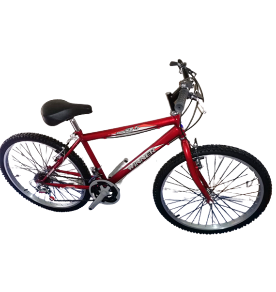 WINNER ARO 26 ACERO